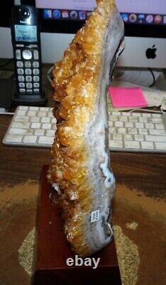 Grand Citrine Cristal Cluster Geode Brazil Cathedral Wood Stand