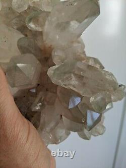 Grand Cluster De Quartz Vert Himalayan Naturel Cristal Rare (270x140mm)