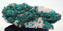 Grand Dioptase Wulfenite Cristal Cluster Vert Émeraude Minéral Spécimen Congo