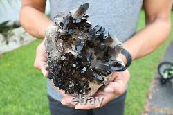 Grand Smoky Quartz Crystal Cluster Points 5+ Lbs Us Seller! Navire Libre