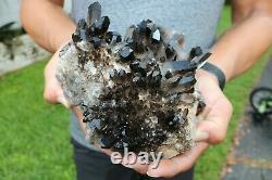 Grand Smoky Quartz Crystal Cluster Points 5+ Lbs Us Seller! Navire Libre