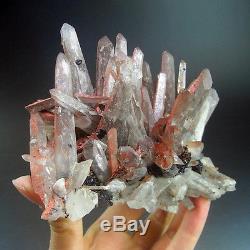 Grappe De Cristal De Quartz Rouge Rare De 1lbs Avec L'hématite, Chine-q1039