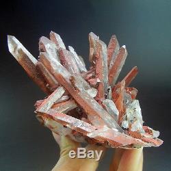Grappe De Cristal De Quartz Rouge Rare De 1lbs Avec L'hématite, Chine-q1039