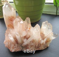 Haut! 2605g Naturel Pretty Citrine Quartz Crystal Cluster Guérison