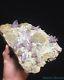 Haut Fin Enorme Clear Lavender Veracruz Amethyst Quartz Crystal Scepter Cluster