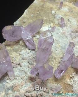 Haut Fin Enorme Clear Lavender Veracruz Amethyst Quartz Crystal Scepter Cluster