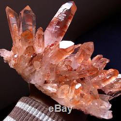 Homard! , Elementtial Angel Pink Lemurian Quartz Cluster Crystal Point