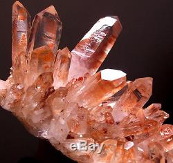 Homard! , Elementtial Angel Pink Lemurian Quartz Cluster Crystal Point