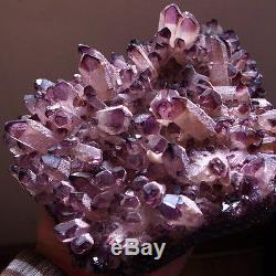 Hou La La! 2035g Gem Natural Amethyst Citrine Quartz Crystal Cluster