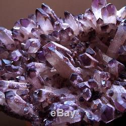 Hou La La! 2035g Gem Natural Amethyst Citrine Quartz Crystal Cluster