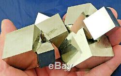 Huit! 100% Naturel Enlacés Pyrite Cristal Cubes! Dans Un Immense Cluster Espagne 640gr
