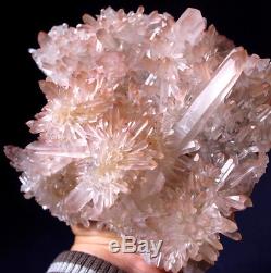 Impressionnant! Dragon Elestial Angel Rose Lémurien Quartz Cluster Crystal Point