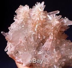 Impressionnant! Dragon Elestial Angel Rose Lémurien Quartz Cluster Crystal Point