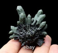 La Beauté Naturelle Spécimen Rare De Grappes De Cristal Vert Et Minéraux Ilvaite / Chinay00109