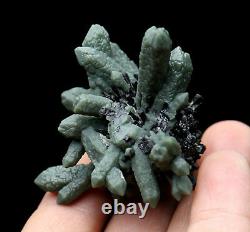La Beauté Naturelle Spécimen Rare De Grappes De Cristal Vert Et Minéraux Ilvaite / Chinay00109