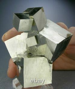 Large 6-cube Golde Pyrite Crystal Cluster De L'espagne W Video, Globe Minerals