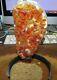 Lg. Citrine Cristal Cluster Geode F/ Brésil Cathedral Steel Stand White Agate Ri