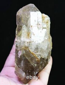 Natural Original Golden Cheveux Rutilated Quartz Crystal Cluster Point Specimen