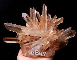 Naturel Rare Belle Peau Rouge Quartz Cluster Cristal Spécimen Tibétain 4.51lb