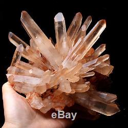 Naturel Rare Belle Peau Rouge Quartz Cluster Cristal Spécimen Tibétain 4.51lb