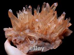 Naturel Rare Belle Peau Rouge Quartz Cluster Cristal Tibetan Specimen 5.1lb
