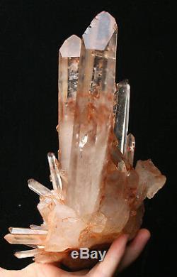 Naturel Rare Belle Peau Rouge Quartz Cluster Crystal Spécimen Tibétain 2.73lb