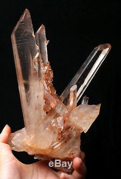 Naturel Rare Belle Peau Rouge Quartz Cluster Crystal Spécimen Tibétain 2.73lb