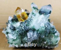 Nouveau Trouver Vert Jaune Phantom Cristal De Quartz Grappe Minérale Des Échantillons De Guérison