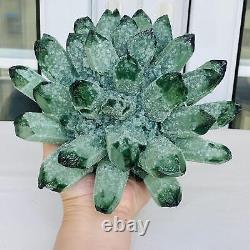Nouvelle découverte : Amas de cristaux de quartz vert fantôme, spécimen minéral de guérison de 3260g