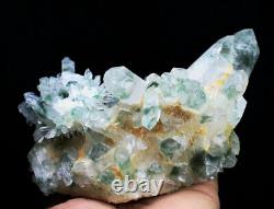 Nouvelle découverte de cristal de quartz phantôme tibétain vert magnifique en grappe de 2,85 lb