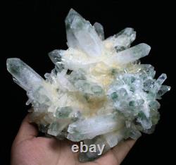Nouvelle découverte de cristal de quartz phantôme tibétain vert magnifique en grappe de 2,85 lb