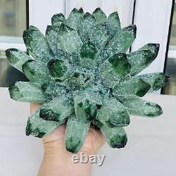 Nouvelle découverte de spécimen de cristal de quartz de type Green Phantom Cluster, minéral guérisseur, pesant 3260g.