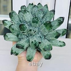 Nouvelle découverte de spécimen de cristal de quartz de type Green Phantom Cluster, minéral guérisseur, pesant 3260g.