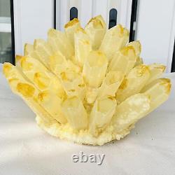 Nouvelle découverte de spécimen de cristal de quartz jaune Phantom Cluster Mineral Healing 3886G