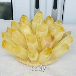 Nouvelle découverte de spécimen de cristal de quartz phénomène jaune en amas minéral de guérison, poids de 2760G.