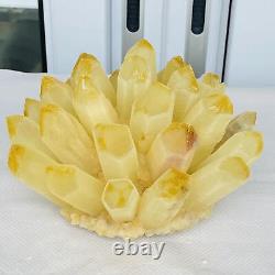 Nouvelle découverte de spécimen de cristal de quartz phénomène jaune en amas minéral de guérison, poids de 2760G.