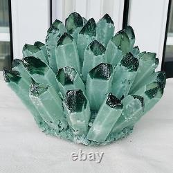 Nouvelle découverte de spécimen de cristal de quartz vert fantôme en grappe minérale de guérison 4940G