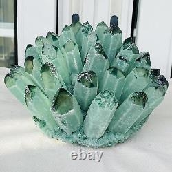 Nouvelle découverte de spécimen minéral de cluster de cristaux de quartz fantôme vert de guérison 4548G