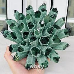 Nouvelle découverte de spécimen minéral de cluster de cristaux de quartz fantôme vert guérison 3769G