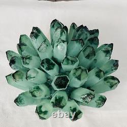 Nouvelle découverte de spécimen minéral de cluster de cristaux de quartz fantôme vert pour la guérison 4473G