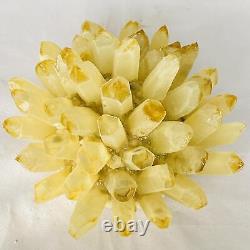 Nouvelle découverte de spécimen minéral de cluster de cristaux de quartz jaune Phantom Healing 3886G