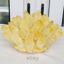 Nouvelle découverte de spécimen minéral de cluster de cristaux de quartz jaune Phantom guérison 3900G