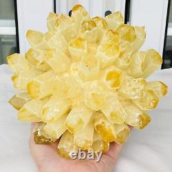 Nouvelle découverte de spécimen minéral de cluster de cristaux de quartz jaune phantôme pour la guérison 3874G