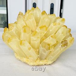 Nouvelle découverte de spécimen minéral de cluster de cristaux de quartz jaune phantôme pour la guérison 3874G