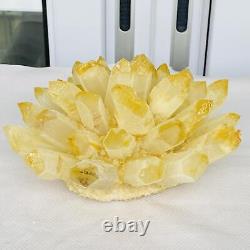 Nouvelle découverte de spécimen minéral de cristal de quartz fantôme jaune en grappe pour guérison - 2640g