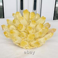 Nouvelle découverte de spécimen minéral de grappe de cristal de quartz jaune fantôme pour la guérison, poids de 2880G.
