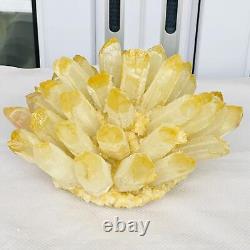 Nouvelle découverte de spécimen minéral de grappe de cristal de quartz jaune fantôme pour la guérison, poids de 2880G.