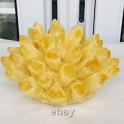 Nouvelle découverte : spécimen de cristal de quartz de phantôme jaune en grappe, minéral pour guérison, poids de 3940 g.