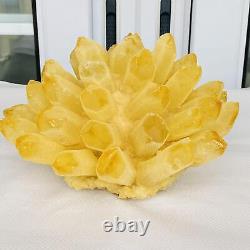 Nouvelle découverte : spécimen de cristal de quartz de phantôme jaune en grappe, minéral pour guérison, poids de 3940 g.