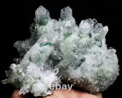 Nouvelle découverte: superbe amas de cristaux de quartz fantôme tibétain vert de 3,90 lb